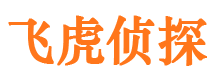 平乐飞虎私家侦探公司